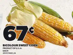 Loblaws BICOLOUR SWEET CORN offer