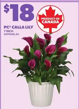 Loblaws PC CALLA LILY, 7 INCH offer