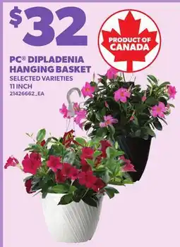 Loblaws PC DIPLADENIA HANGING BASKET, 11 INCH offer