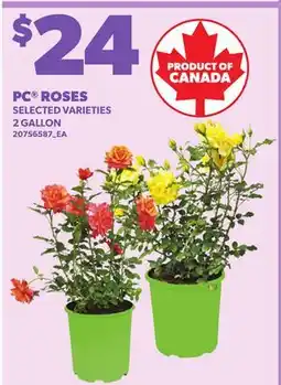 Loblaws PC ROSES, 2 GALLON offer