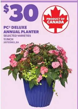 Loblaws PC DELUXE ANNUAL PLANTER, 11 INCH offer