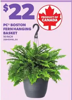 Loblaws PC BOSTON FERN HANGING BASKET, 10 INCH offer