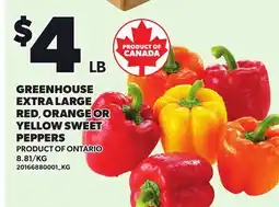 Loblaws GREENHOUSE EXTRA LARGE RED, ORANGE OR YELLOW SWEET PEPPERS offer