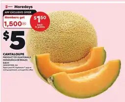 Loblaws CANTALOUPE offer