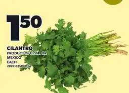 Loblaws CILANTRO offer