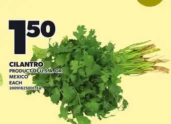 Loblaws CILANTRO offer