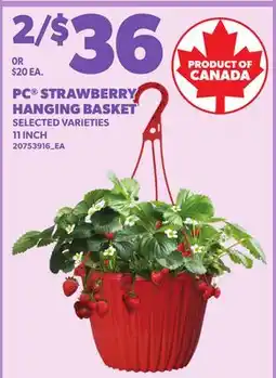 Loblaws PC STRAWBERRY HANGING BASKET, 11 INCH offer