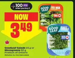 FreshCo GoodLeaf Salads 113 g or Microgreens 50 g Product of Ontario offer