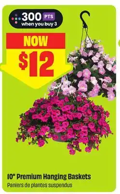 FreshCo 10 Premium Hanging Baskets offer