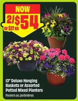 FreshCo 13 Deluxe Hanging Baskets or Assorted Potted Mixed Planters offer