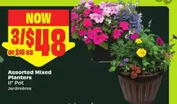 FreshCo Assorted Mixed Planters 11 Pot offer