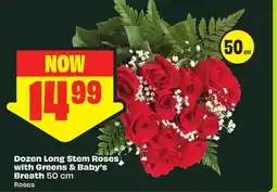FreshCo Dozen Long Stem Roses with Greens & Baby's Breath 50 cm offer