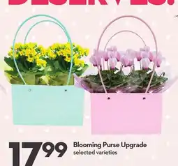 Longo's Blooming Purse Upgrade offer