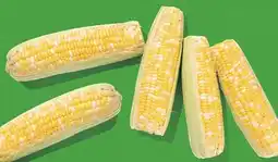 Longo's Fresh Sweet Bi-Colour Corn offer