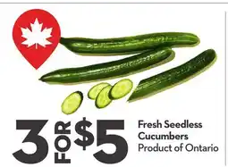 Longo's Fresh Seedless Cucumbers offer