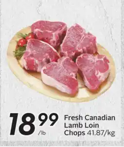 Sobeys Fresh Canadian Lamb Loin Chops offer