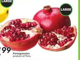 Sobeys Pomegranates offer