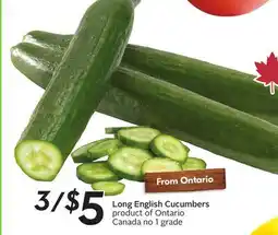 Sobeys Long English Cucumbers offer