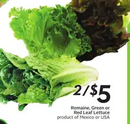 Sobeys Romaine, Green or Red Leaf Lettuce offer