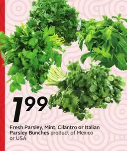 Sobeys Fresh Parsley, Mint, Cilantro or Italian Parsley Bunches - Global Market offer