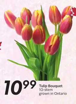 Sobeys Tulip Bouquet offer