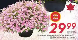 Sobeys Premium Hanging Basket or Planter offer