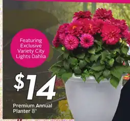 Sobeys Premium Annual Planter 8 offer