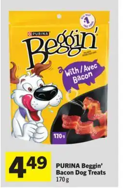 Foodland PURINA Beggin' Bacon Dog Treats offer