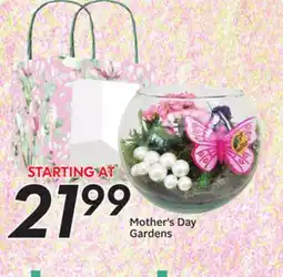 Sobeys Mother's Day Gardens offer