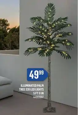 Canac ILLUMINATED PALM TREE 320 LED LIGHTS 5 FT 11 IN offer