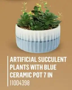Canac Artificial Succulent Plants with Blue Ceramic Pot offer