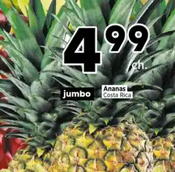 Val-Mont Ananas Costa Rica offer