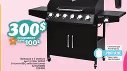Rossy 6-burner BBQ with side burner offer