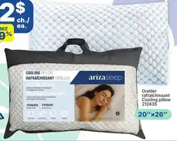Rossy Oreiller Cooling pillow offer