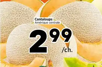 Val-Mont Cantaloups offer