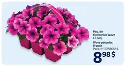 Walmart Wave petunias offer