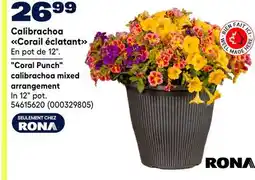 RONA RONA Coral Punch calibrachoa mixed arrangement offer