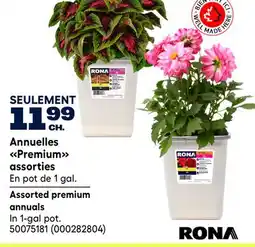 RONA RONA Assorted premium annuals offer