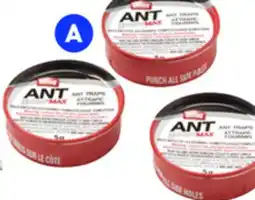 RONA ORTHO 3-pack ant traps offer