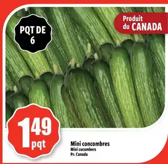 Bonanza Mini concombres offer