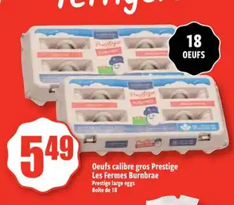 Bonanza Prestige large eggs offer