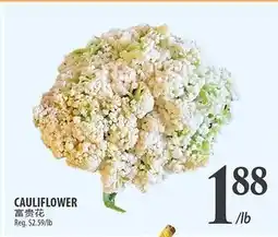 Al Premium Food Mart CAULIFLOWER offer