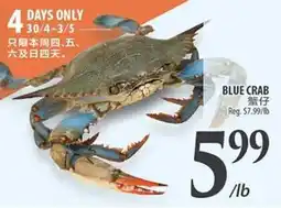 Al Premium Food Mart BLUE CRAB offer