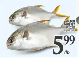 Al Premium Food Mart GOLDEN POMFRET offer