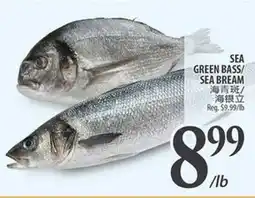 Al Premium Food Mart SEA GREEN BASS/SEA BREAM offer