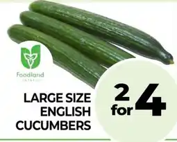 Vince's Market Large size english cucumbers offer