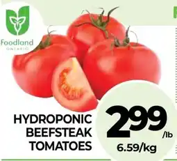 Vince's Market Hydroponic beefsteak tomatoes offer