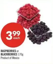 Shoppers Drug Mart Raspberries or blackberries offer