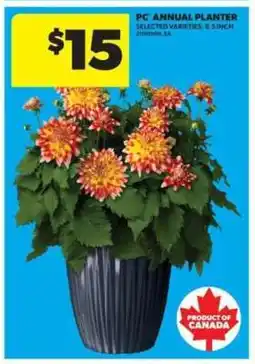 Real Canadian Superstore PC Annual Planter offer
