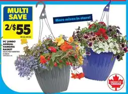 Real Canadian Superstore PC Jumbo Annual Hanging Basket offer